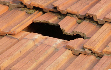 roof repair Causey, County Durham